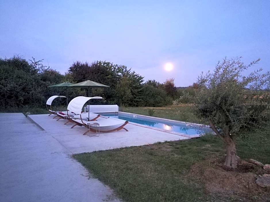 Domaine Maison Dodo