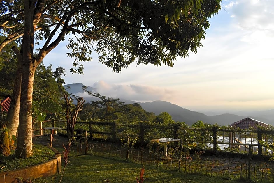 Finca San Antonio