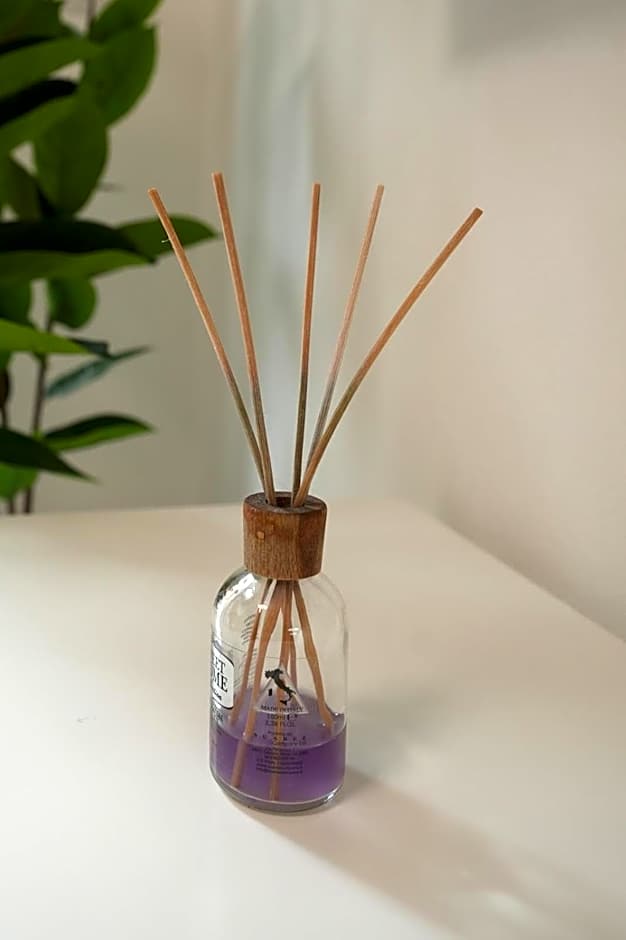 Luxury Rooms Paoli 19