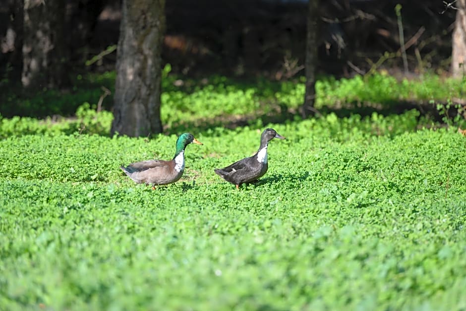 Quinta Da Samoqueirinha