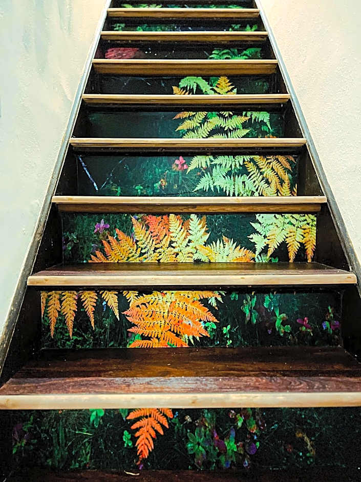 Echo Zen Hostal