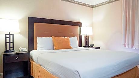 King Room - Non-Smoking