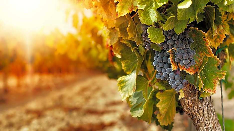 Hotel Puerta del Sol