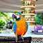 Flamingo Hotel & Spa - Pet Friendly