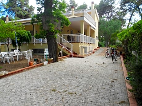 B&B Isabella