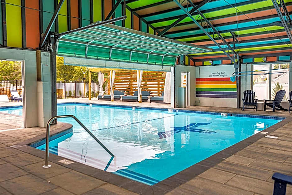 Freebird by Reverie Boutique Collection