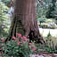 Chambre E André Le Domaine Des Jardins De Bracquetuit