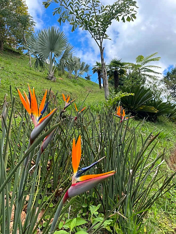 Rancho do Paioleiro - Suites