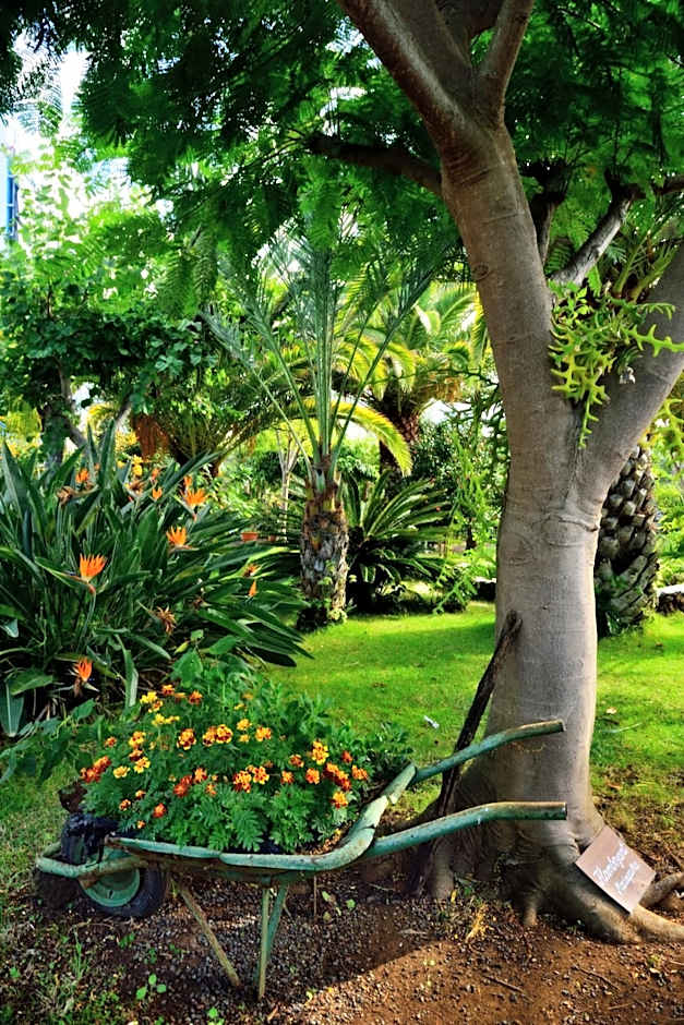 Apartamentos Adjovimar