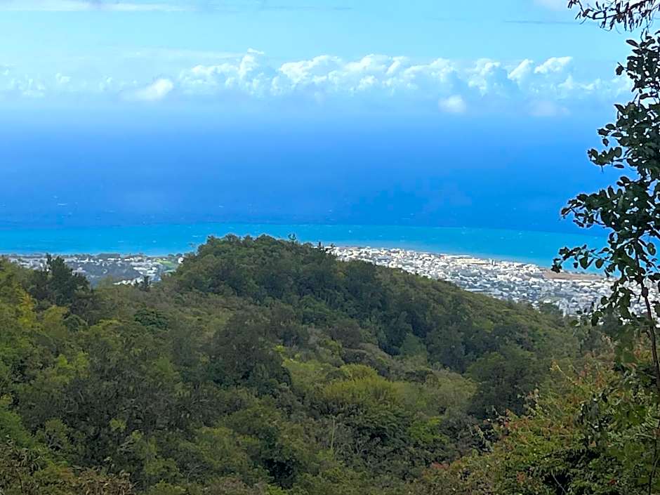 Les Chalets de Marie 974- Jacuzzi SPA privatif dans le chalet , sans vis à vis , vue mer