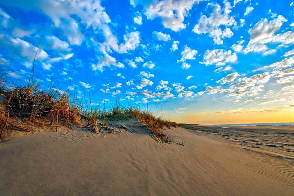 Marriott's SurfWatch