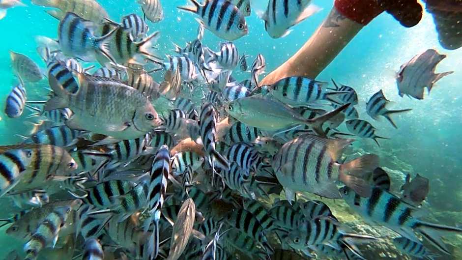 Baan Chan Lay Koh Chang