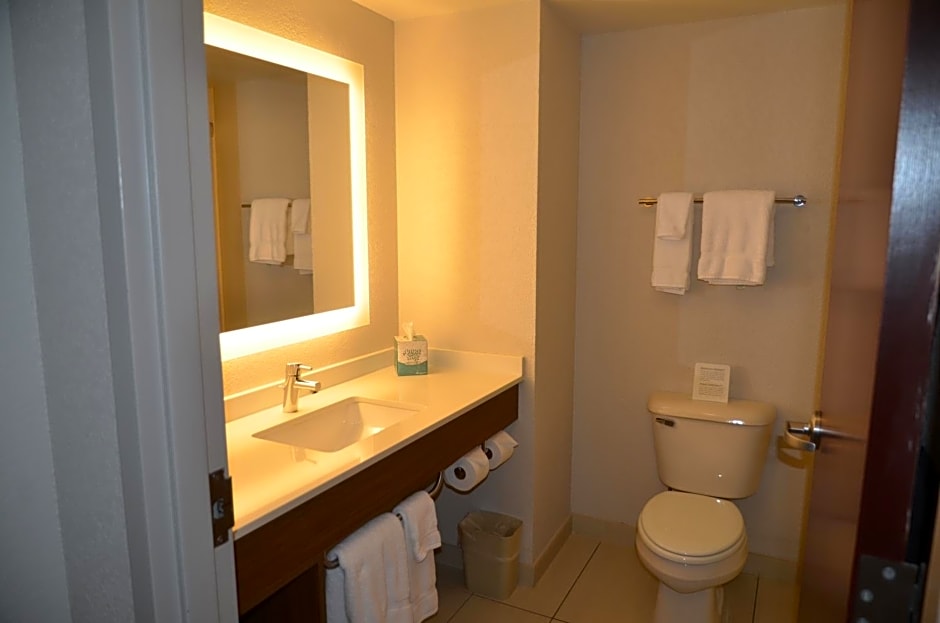 Holiday Inn Express Hotel & Suites Rochester By IHG