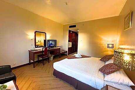 Superior King City View Room