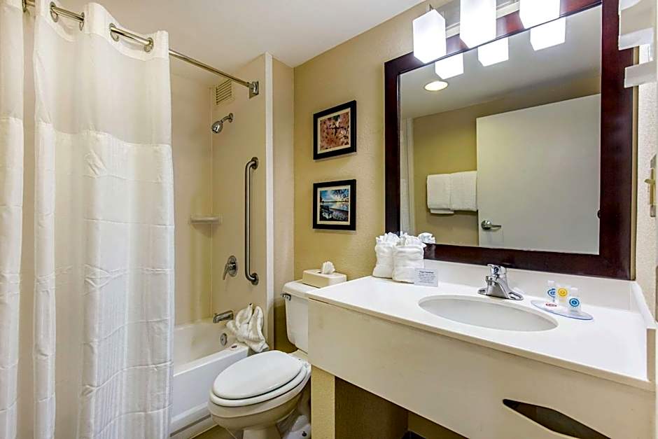Comfort Inn College Park North