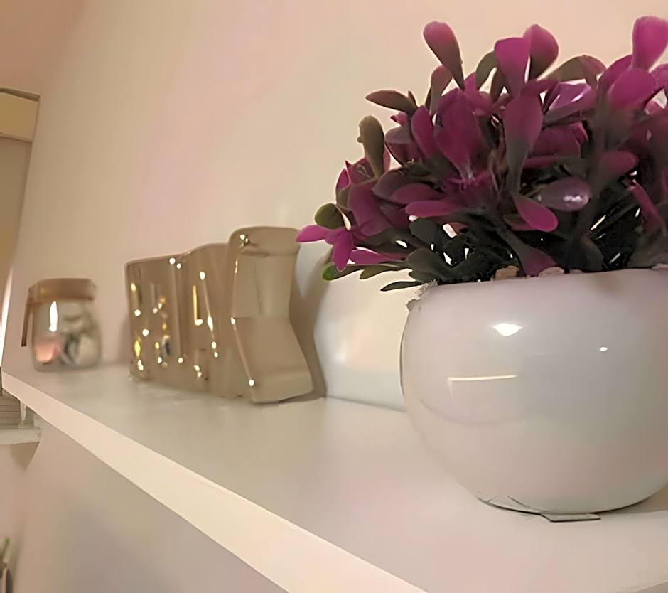 Brasília Studio - Tecnologia & Cia.