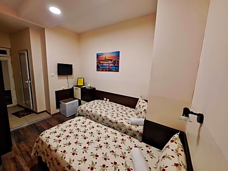 Double or Twin Room with Terrace