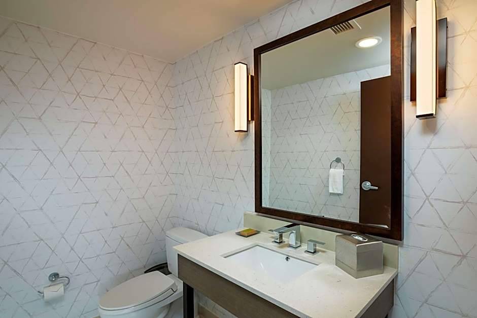 Hilton Asheville Biltmore Park