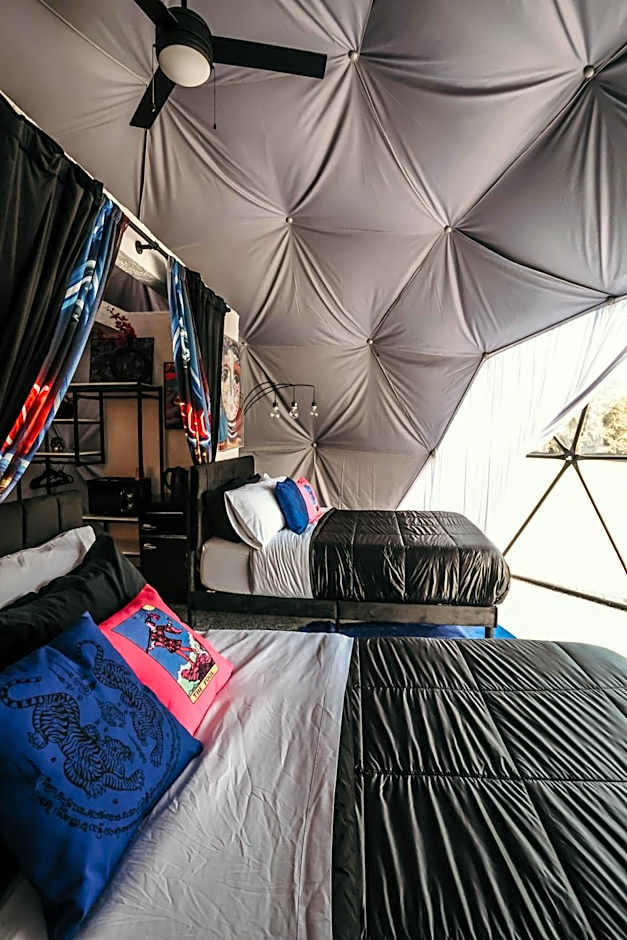 DayDreamer Domes