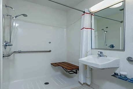 Queen Suite with Roll-In Shower and Sofabed - Accessible/Non Smoking