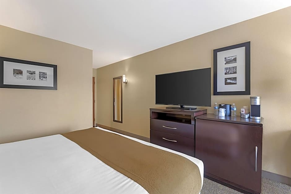 Best Western Plus Plaza By The Green