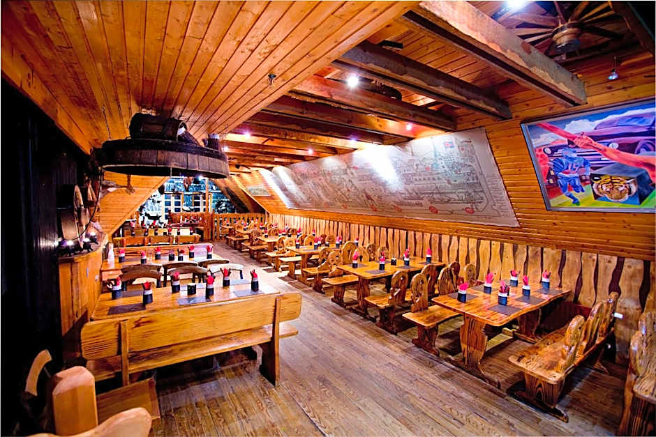 Hotel Viking