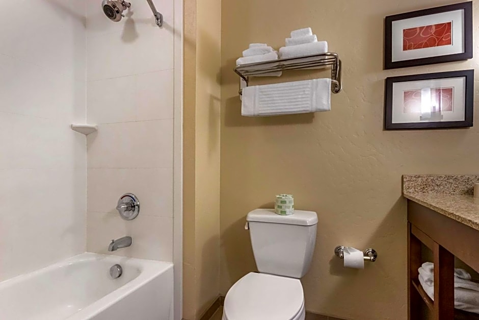 Comfort Suites Airport-University