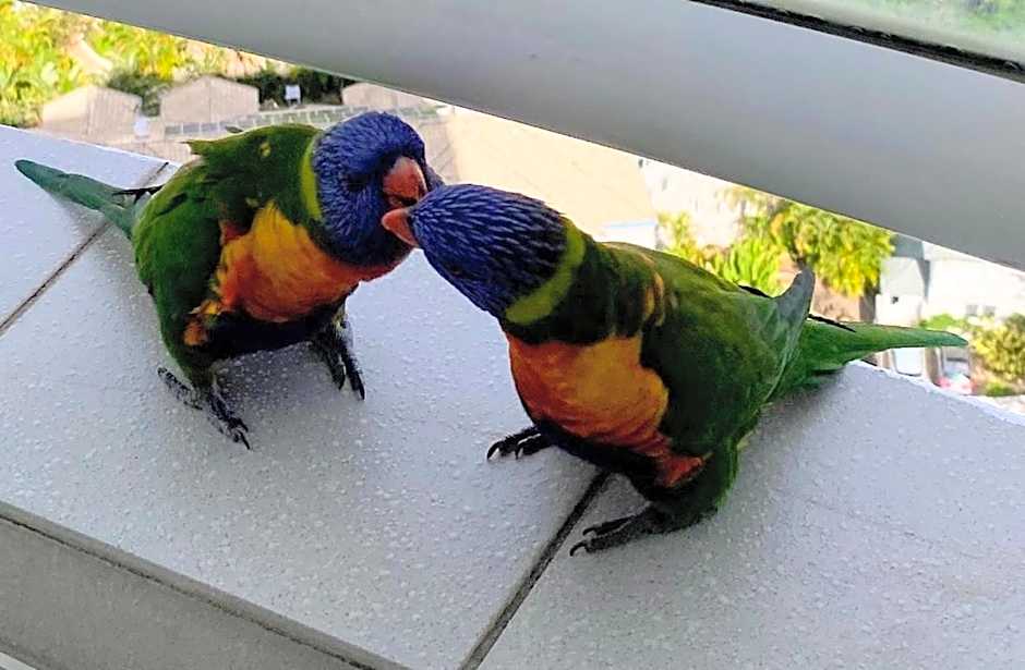 Luxury Privately Owned Ocean View Studio O4KS Gold Tower