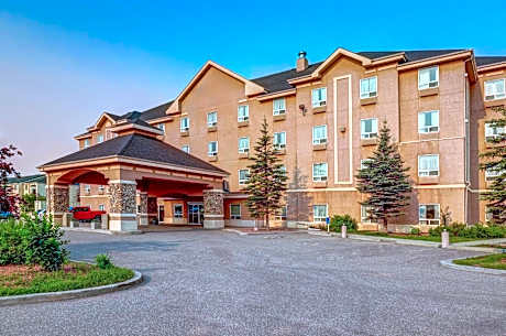 Prairie Crest Red Deer by IHG
