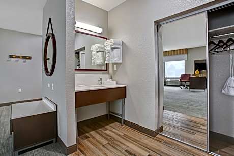 1 King Bed Studio Suite W/ Sofabed Nonsmoking