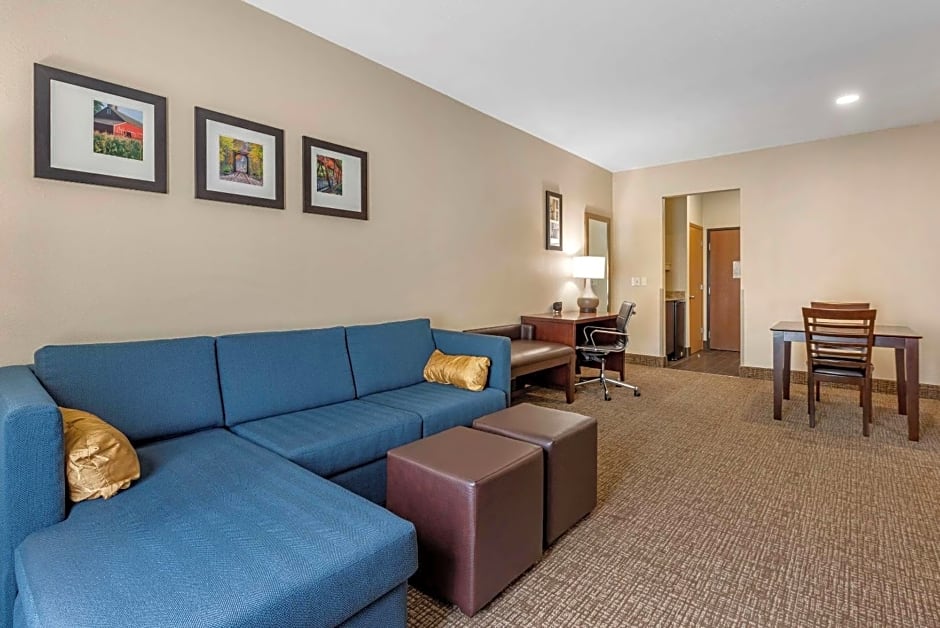 Comfort Suites Auburn near I-69