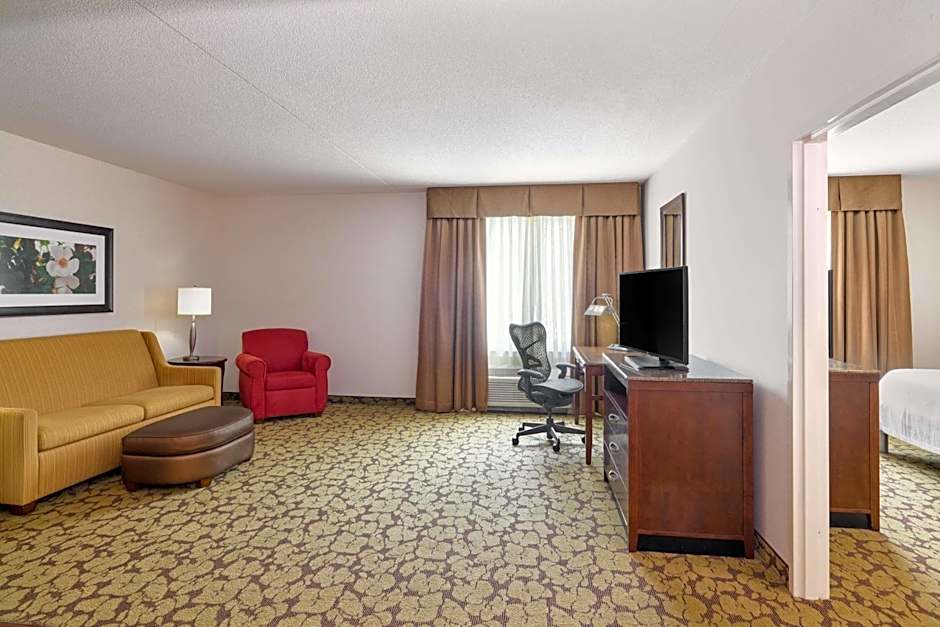 Photo 1 of 5 of Junior 1 King Bed Suite, Mobility Accessible, Roll in Shower