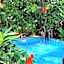 Vanam Soulful Stays