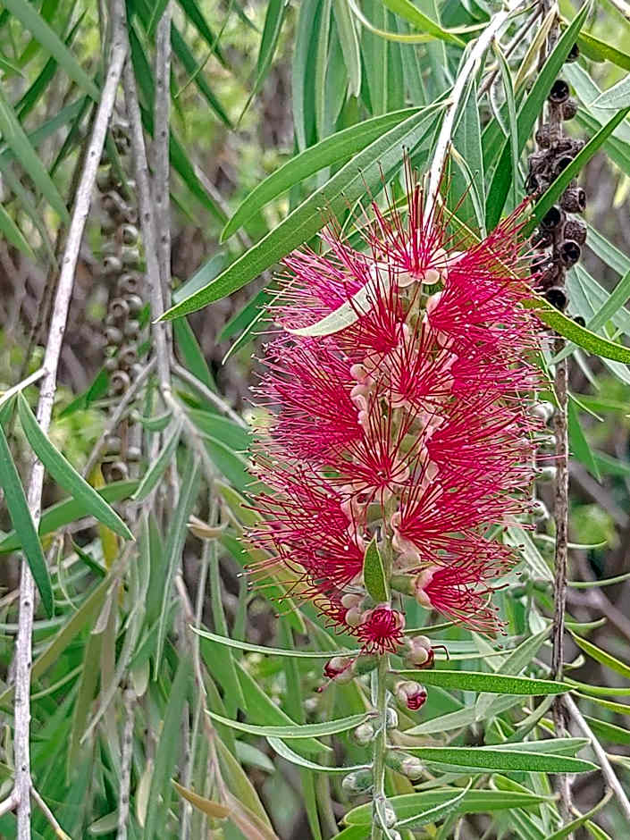 Tanzanice Farm Lodge