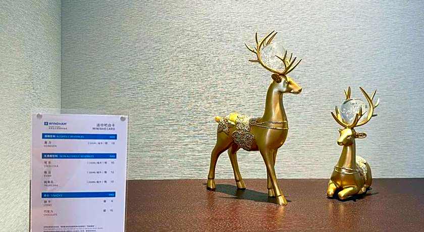 Wyndham Handan Congtai