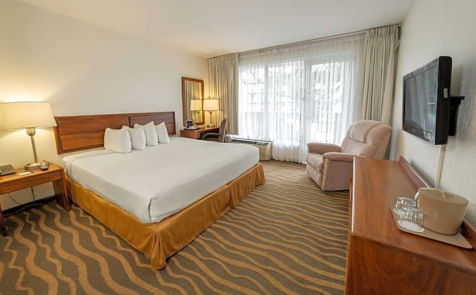 Irazu Hotel & Studios