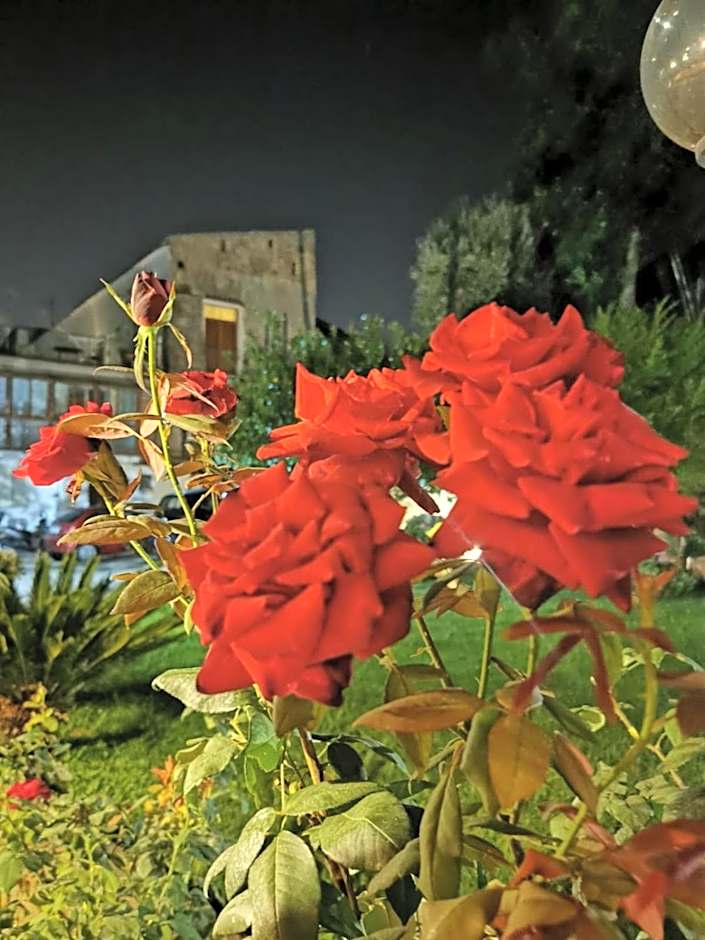 L'Angolo di Campagna