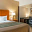Comfort Inn Metro Airport Romulus