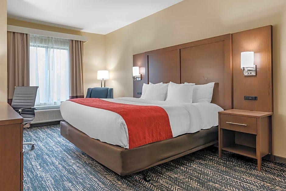 Comfort Inn & Suites Downtown near University