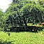 Villa Delphina