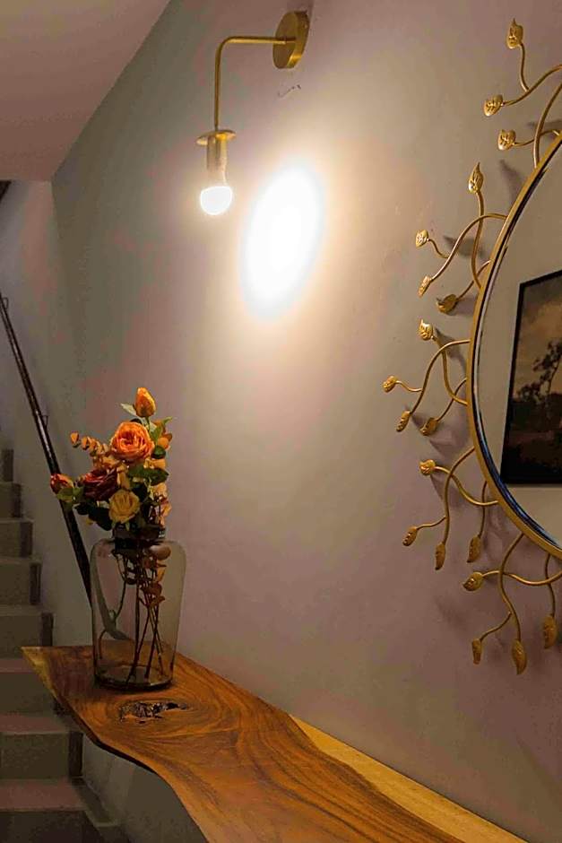 Morada Luna Polanco