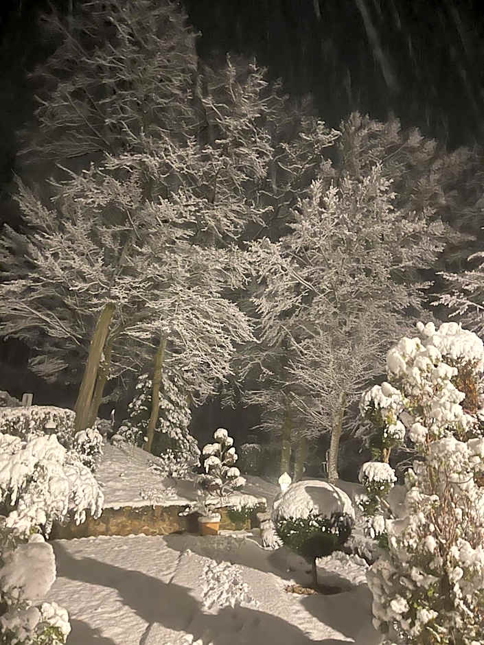 Landhotel Lembergblick