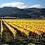 Vintner's Retreat