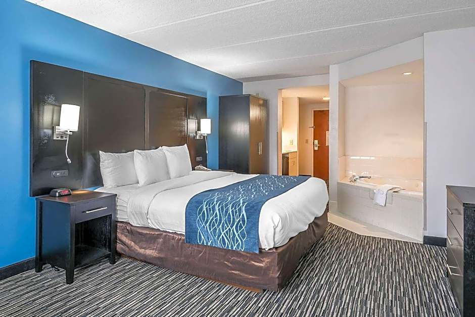 Comfort Inn University Gainesville