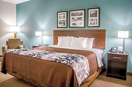 1 King Bed, Suite, Nonsmoking