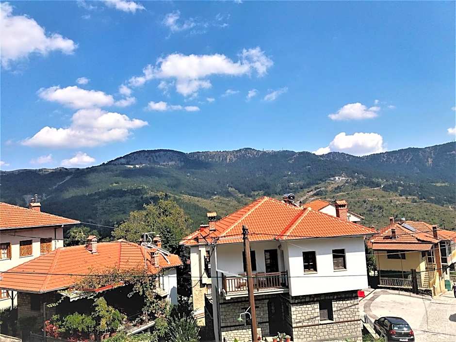 Hotel Acropolis Metsovo