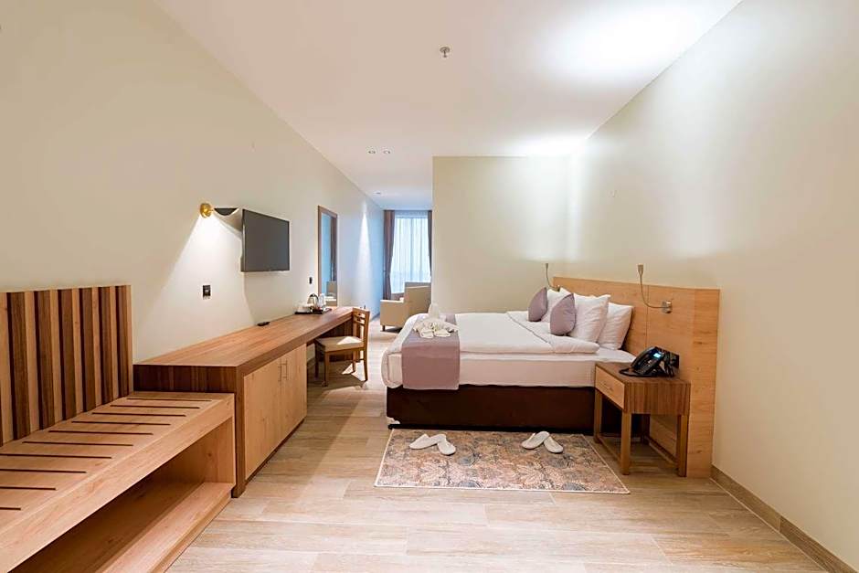 Photo 1 of 2 of Junior 1 King Bed Suite