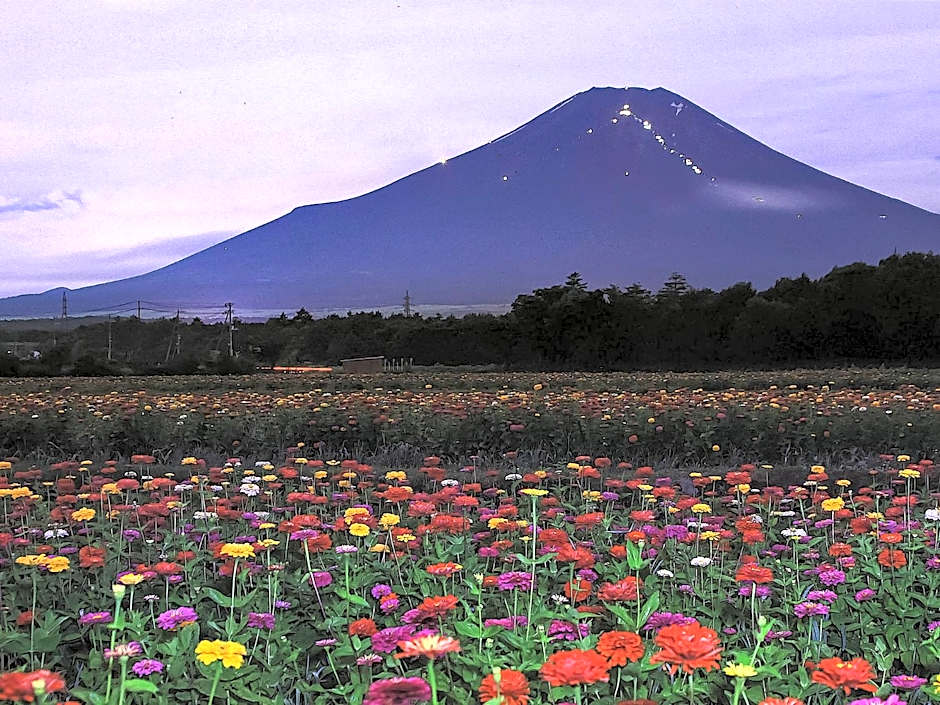 Minamitsuru-gun - Hotel / Vacation STAY 45545