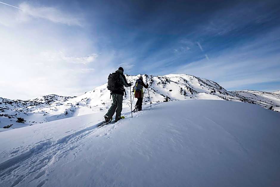 Das Traunsee - Das Hotel zum See 4 Stern Superior