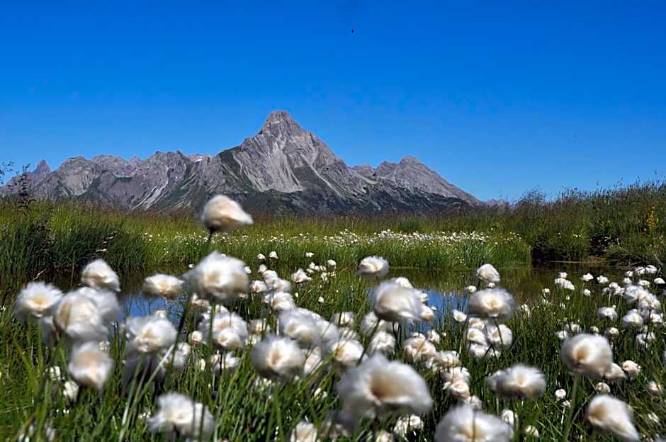 Bergspitz Luxury Appartement